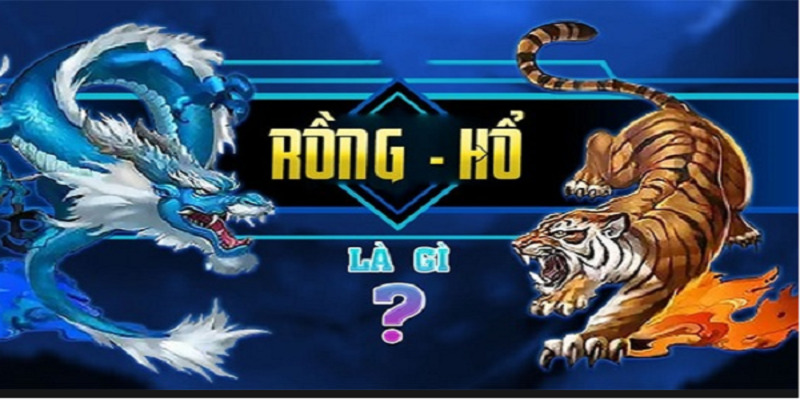 cách chơi rồng hổ